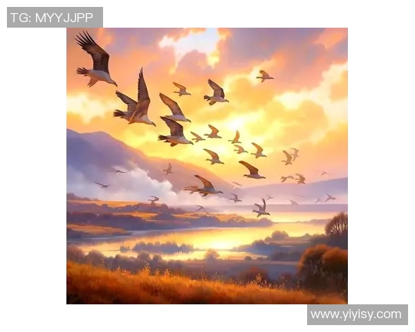 飞翼与梦想的较量谁能胜出探寻心灵深处的追求与希望