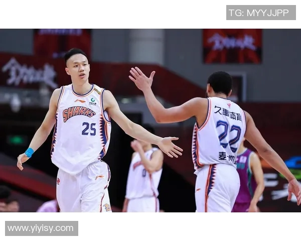 马尔科-查卡莱维奇因伤缺席CBA常规赛,球队备战调整策略全解析 马尔科-查卡莱维奇因伤缺席CBA常规赛,球队备战调整策略全解析