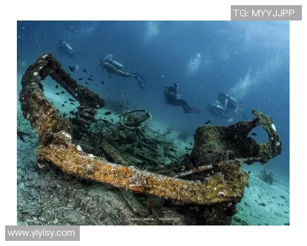 萨乌丁的传奇人生与时代变迁中的文化影响力探讨