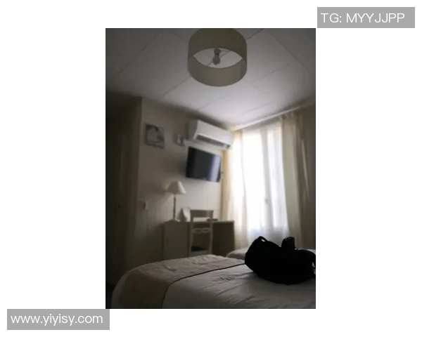 洛里昂与圣马洛的精彩对决揭示法乙联赛新动态与球队发展潜力